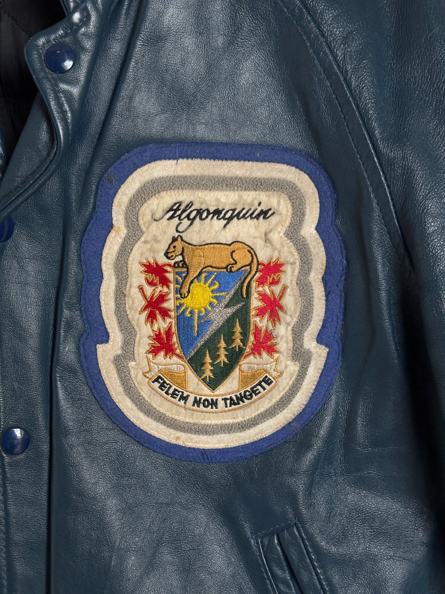 Size 42US / 52EU Vintage 1980s Algonquin College Leather Varsity Jacket — Business Department Bomber — Canadian University Jacket