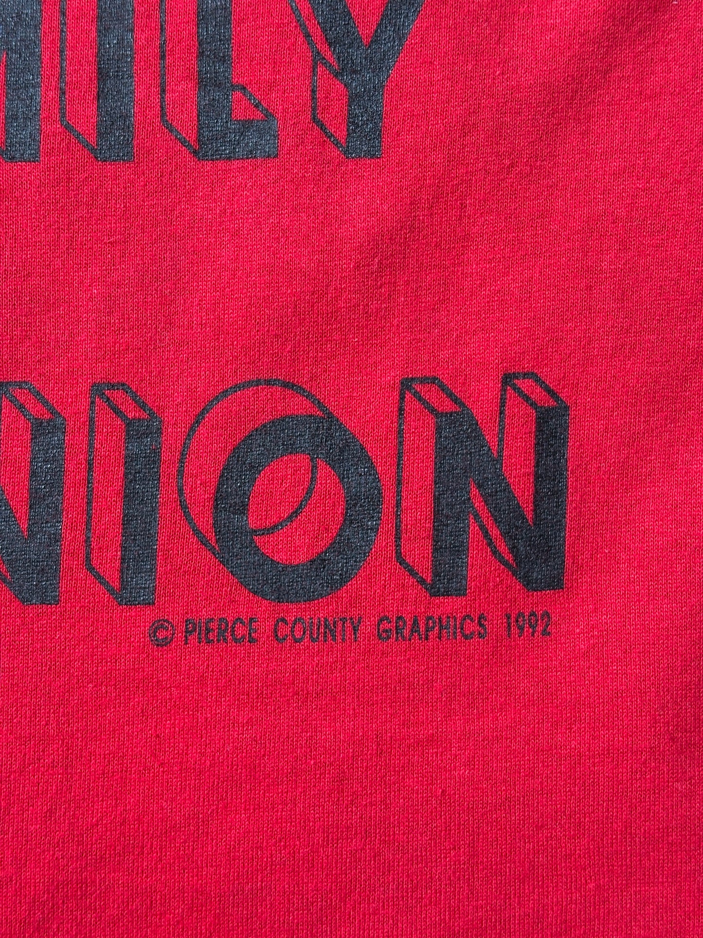 Vintage 1992 Anderson Family Reunion t-shirt with bold 90s lettering, size large