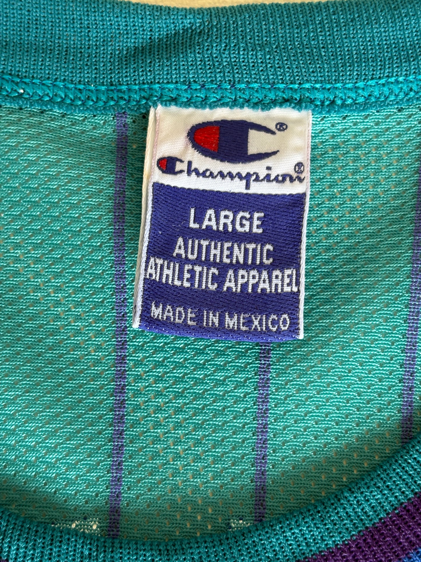 Champion Charlotte Hornets Jamal Mashburn No. 24 Jersey Size Large/44 Teal Pinstripe 90s NBA