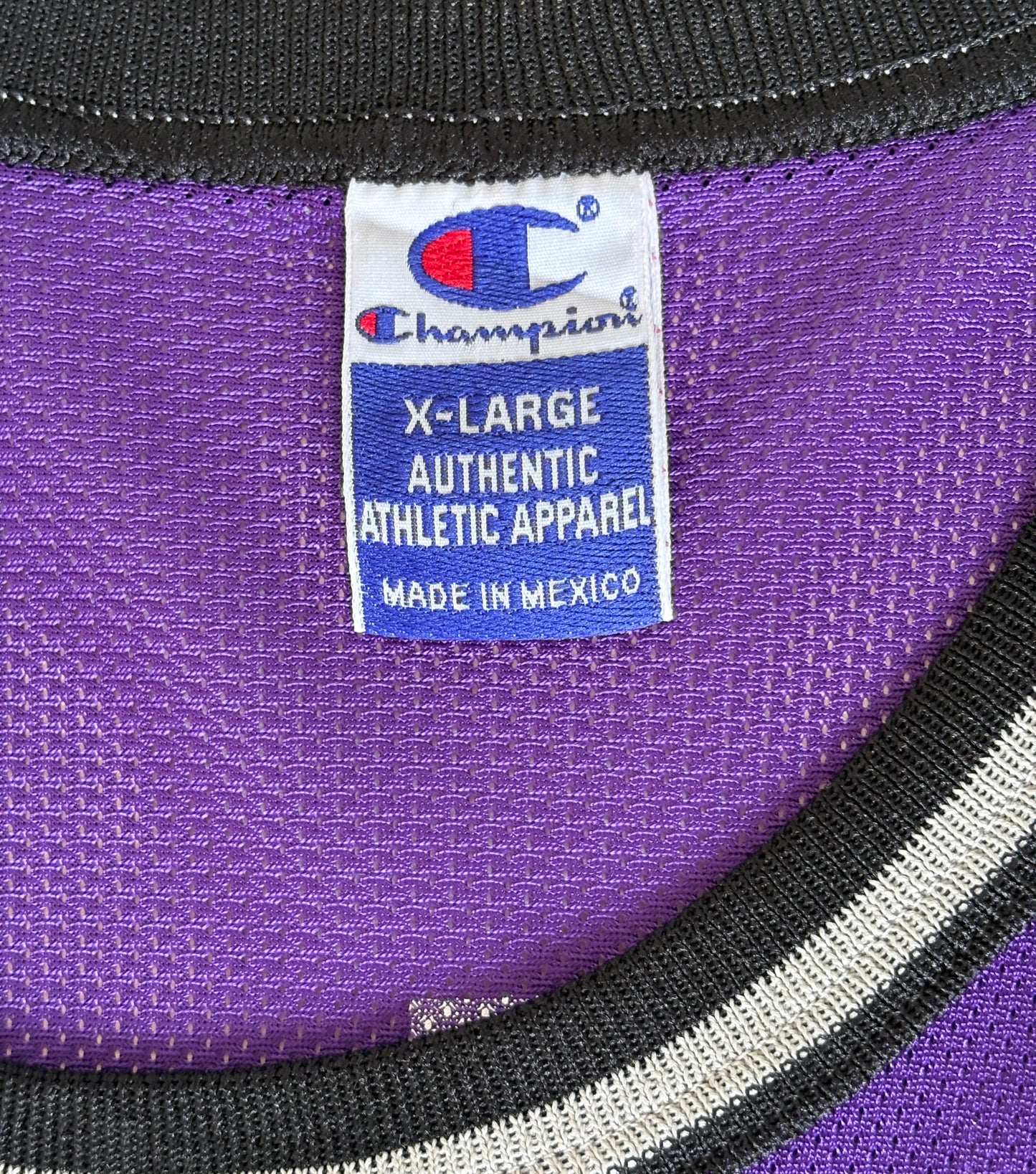 Champion Sacramento Kings Jason Williams No. 55 Jersey Size 48 Purple Mesh NBA 90s