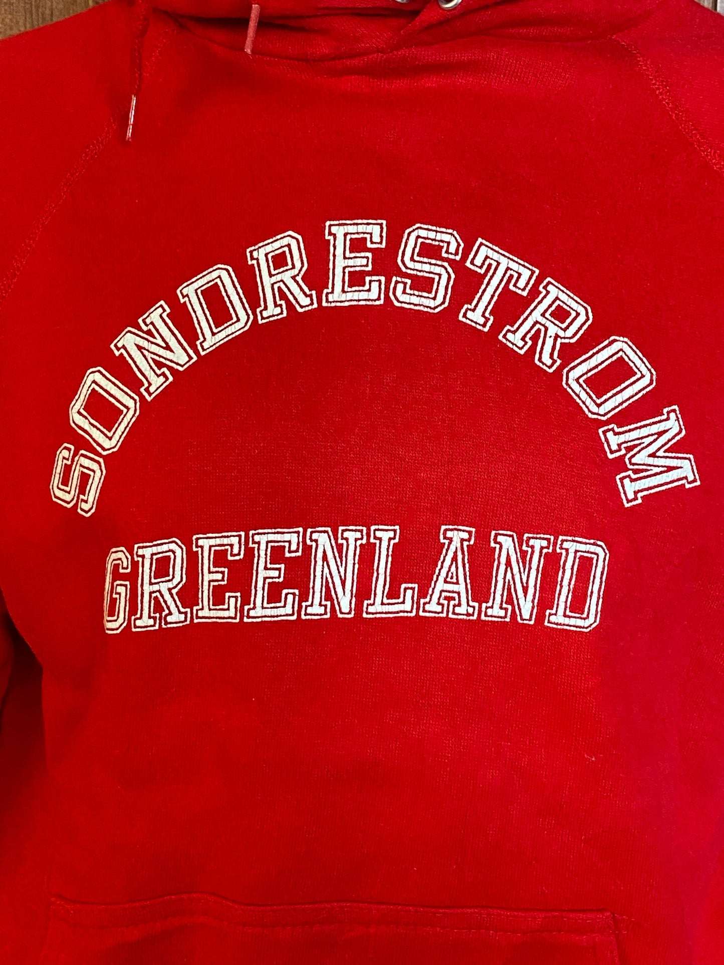 Size L. Made In USA Vintage 80s hooded sweatshirt Made by Artex. 50/50
