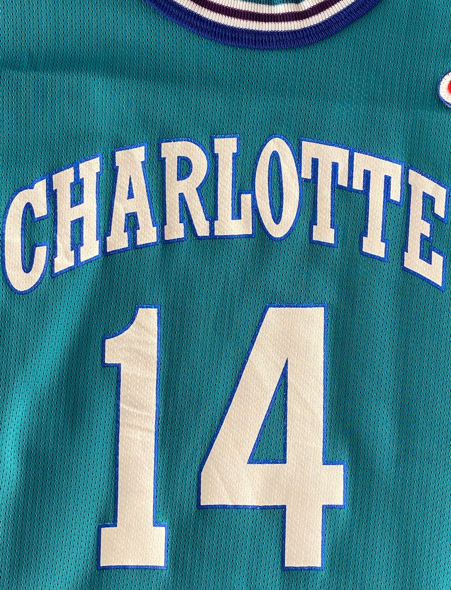 Youth 18-20. Vintage 90s NBA Champion Mason #14 Jersey Charlotte Hornets Made In USA