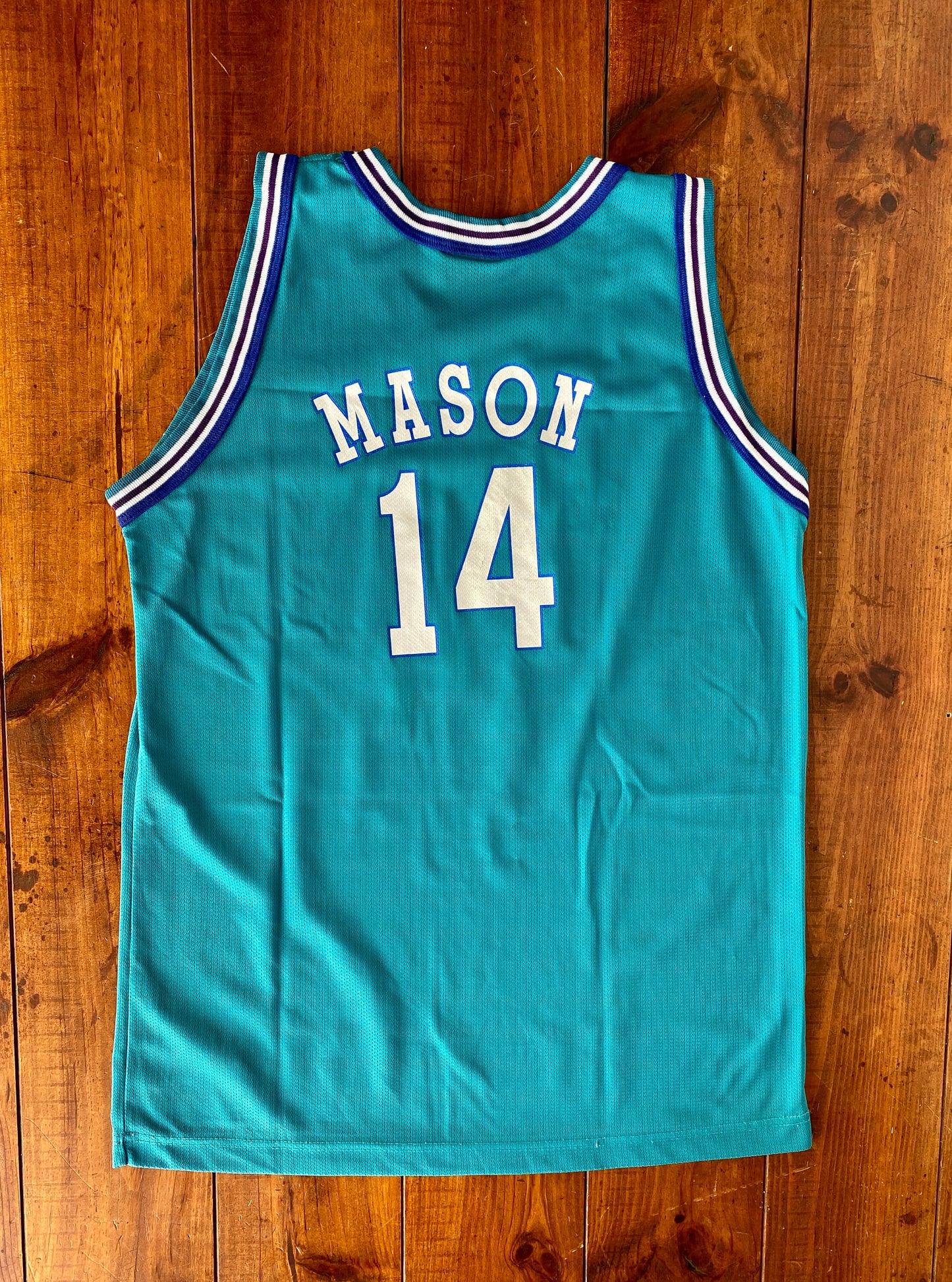 Youth 18-20. Vintage 90s NBA Champion Mason #14 Jersey Charlotte Hornets Made In USA