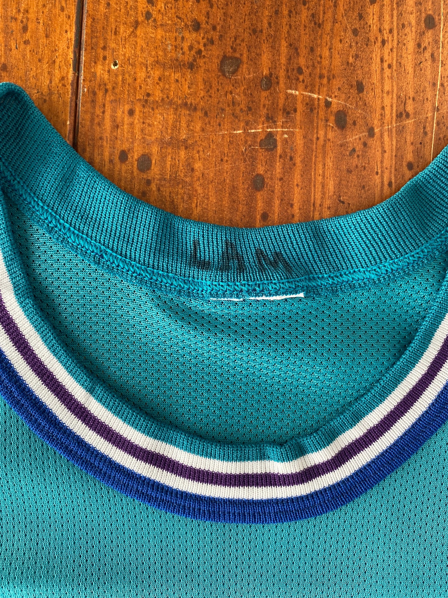 Youth 18-20. Vintage 90s NBA Champion Mason #14 Jersey Charlotte Hornets Made In USA