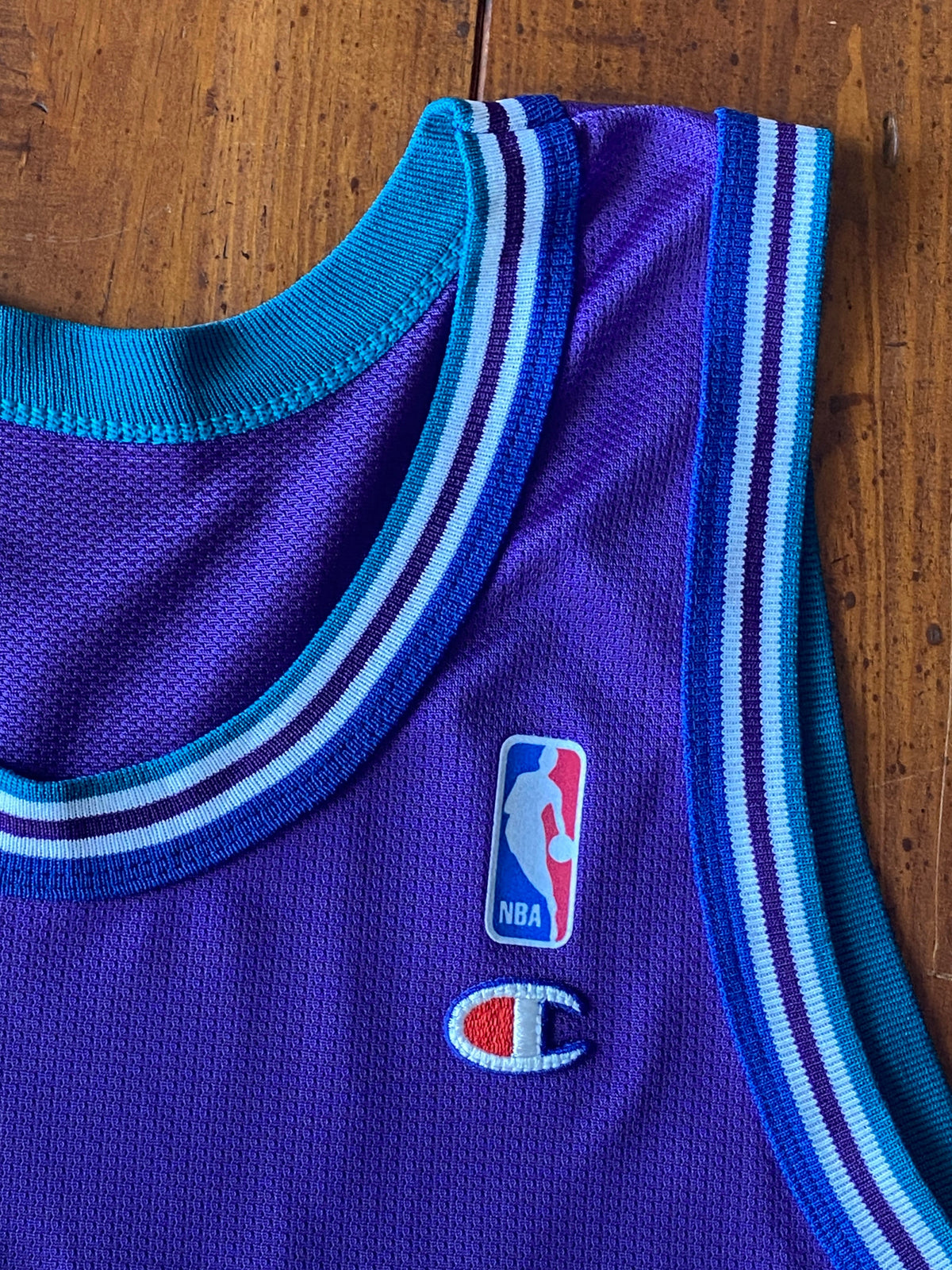 Authentic Size 44 Larry Johnson #2 Charlotte Hornets 90s NBA Jersey | Made in USA by Champion-AJ357 Studio