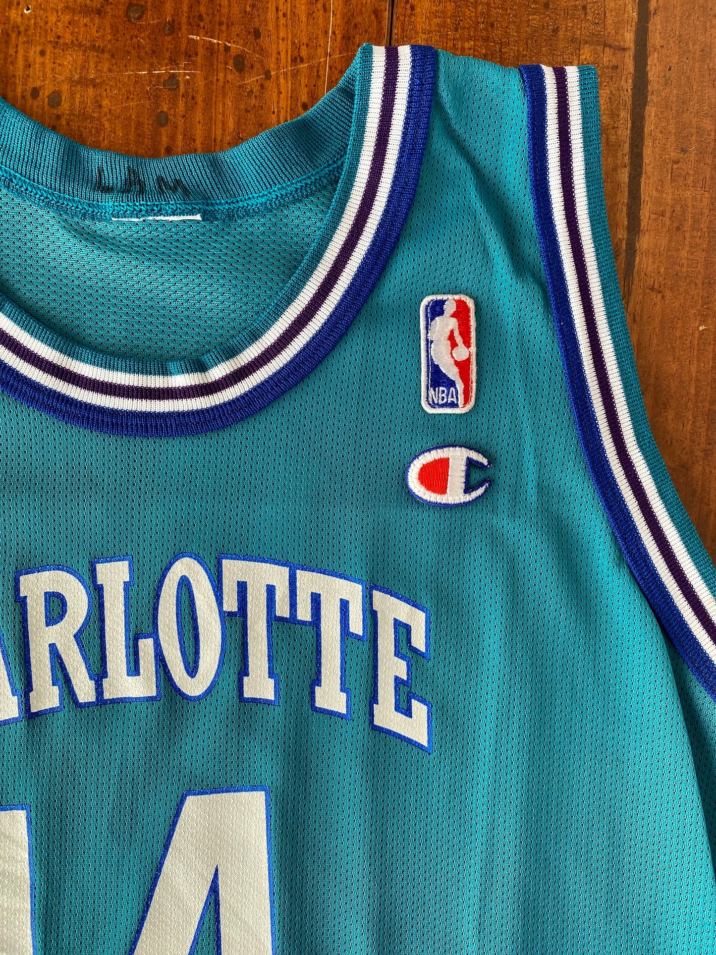 Youth 18-20. Vintage 90s NBA Champion Mason #14 Jersey Charlotte Hornets Made In USA