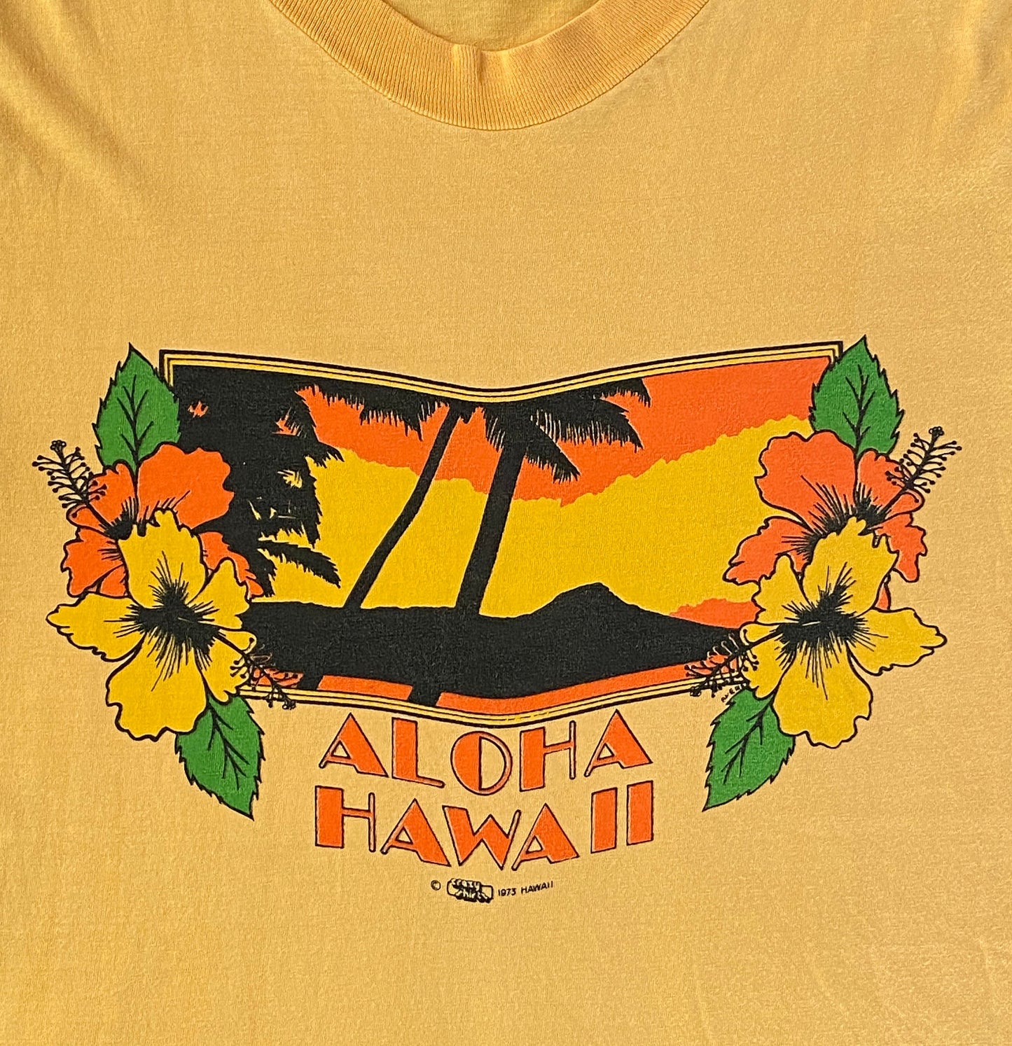 Large 1973 Vintage Aloha Hawaii T-shirt: Retro Apparel Made In USA