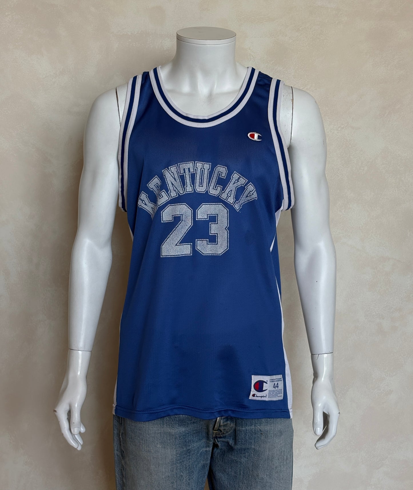 Champion Kentucky Wildcats Derek Anderson #23 Jersey Size 44 Blue White Mesh 90s NCAA USA