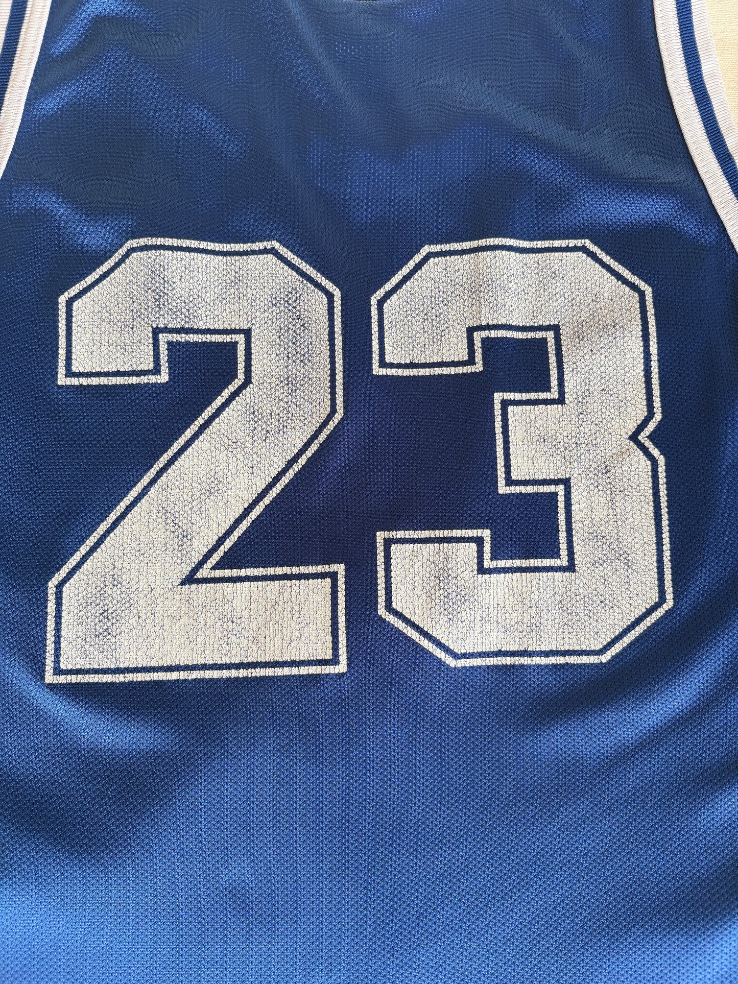 Champion Kentucky Wildcats Derek Anderson #23 Jersey Size 44 Blue White Mesh 90s NCAA USA