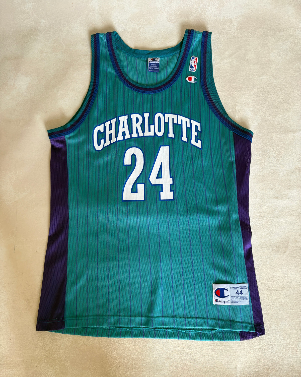 Champion Charlotte Hornets Jamal Mashburn No. 24 Jersey Size Large/44 Teal Pinstripe 90s NBA