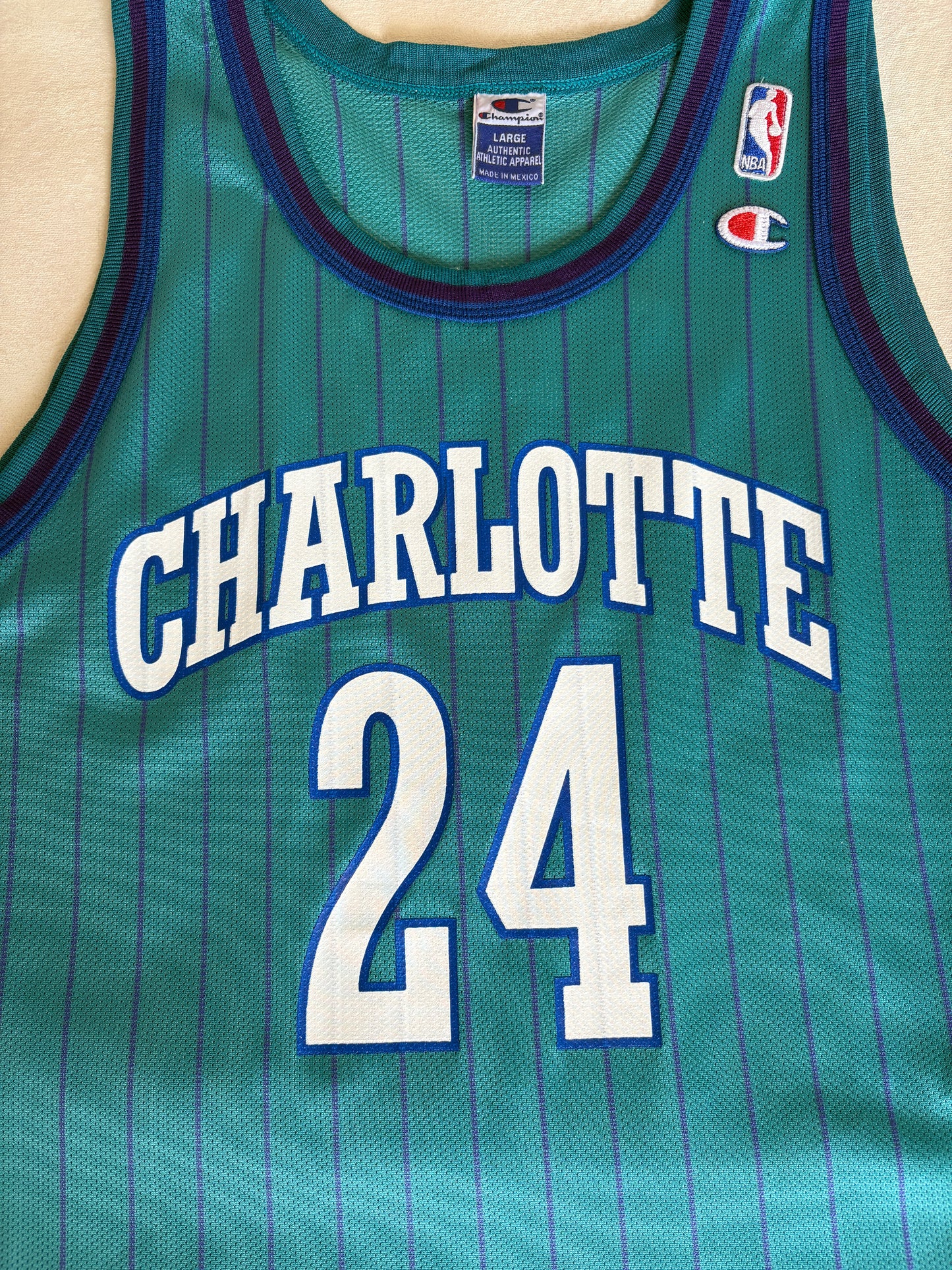 Champion Charlotte Hornets Jamal Mashburn No. 24 Jersey Size Large/44 Teal Pinstripe 90s NBA