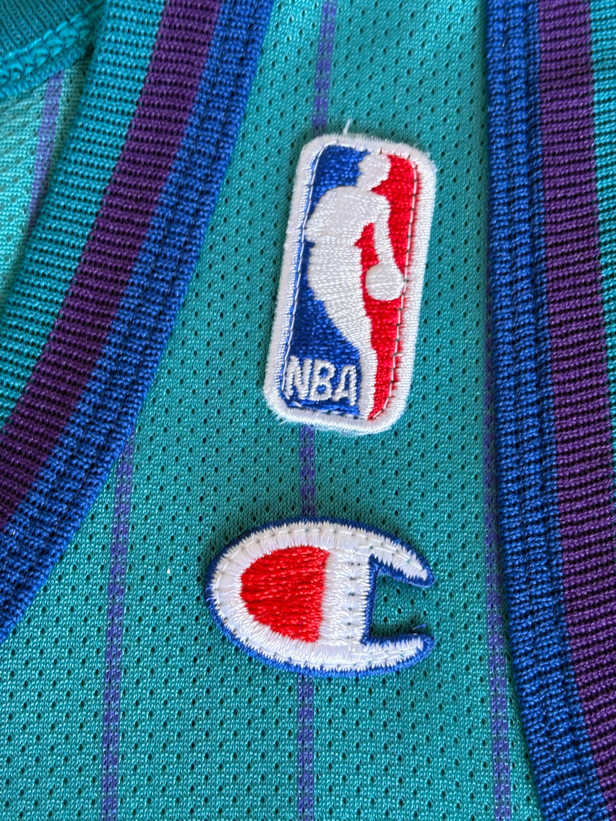Champion Charlotte Hornets Jamal Mashburn No. 24 Jersey Size Large/44 Teal Pinstripe 90s NBA