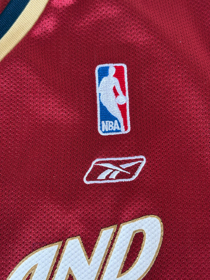 Reebok Cleveland Cavaliers LeBron James No. 23 Jersey Size XL Wine Mesh NBA 2000s