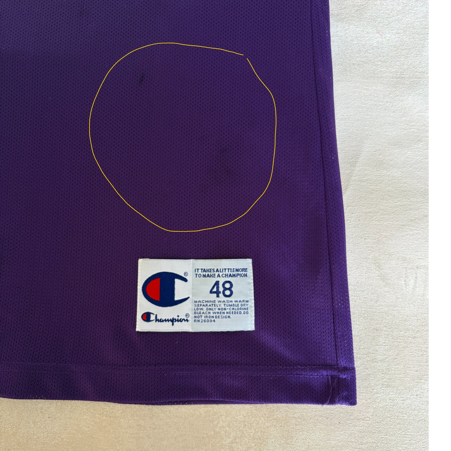 Champion Sacramento Kings Jason Williams No. 55 Jersey Size 48 Purple Mesh NBA 90s