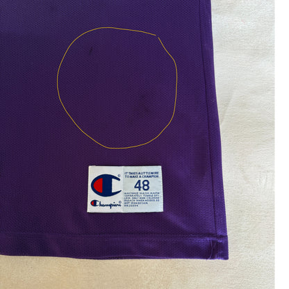 Champion Sacramento Kings Jason Williams No. 55 Jersey Size 48 Purple Mesh NBA 90s