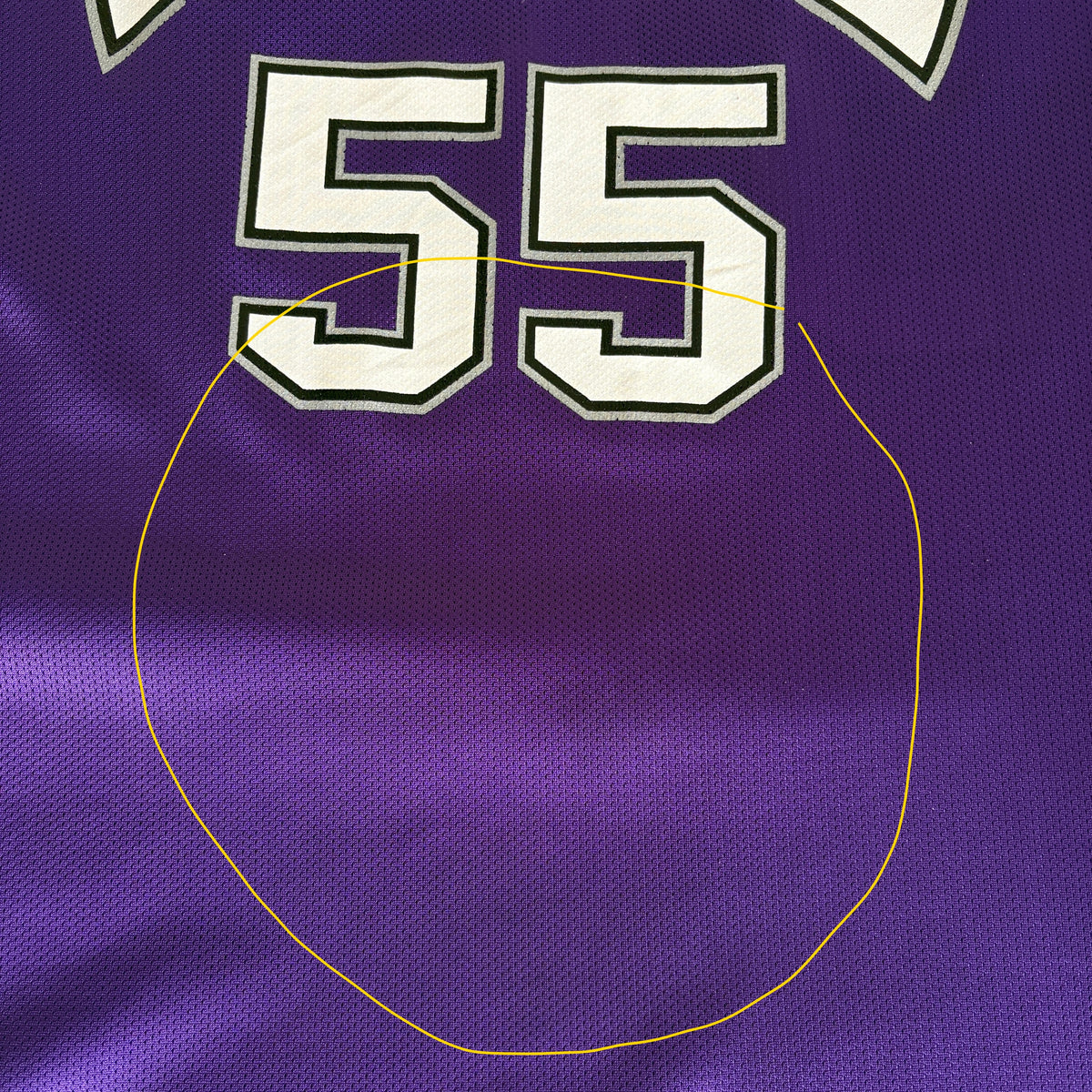 Champion Sacramento Kings Jason Williams No. 55 Jersey Size 48 Purple Mesh NBA 90s