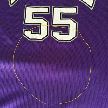 Champion Sacramento Kings Jason Williams No. 55 Jersey Size 48 Purple Mesh NBA 90s