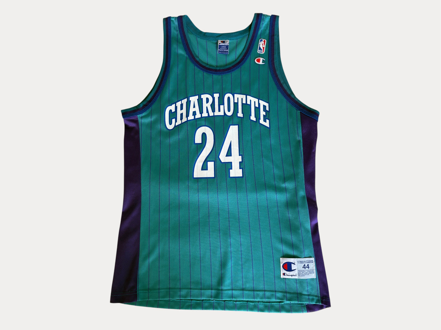 Champion Charlotte Hornets Jamal Mashburn No. 24 Jersey Size Large/44 Teal Pinstripe 90s NBA