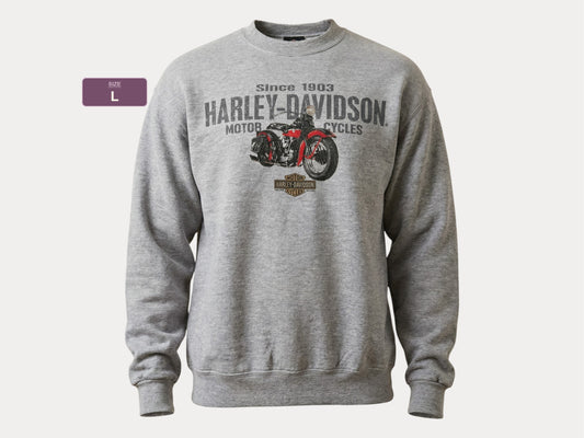 Size L Harley Davidson Sweatshirt 2001 Made In USA