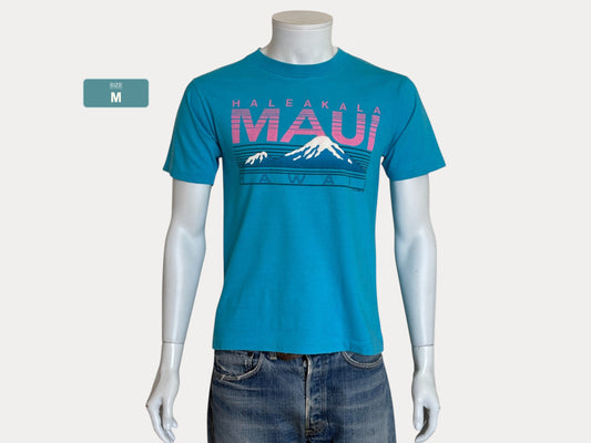Vintage 90s Haleakala Maui Hawaii T-Shirt – Blue & Pink Tourist Tee Made in USA   – Size M