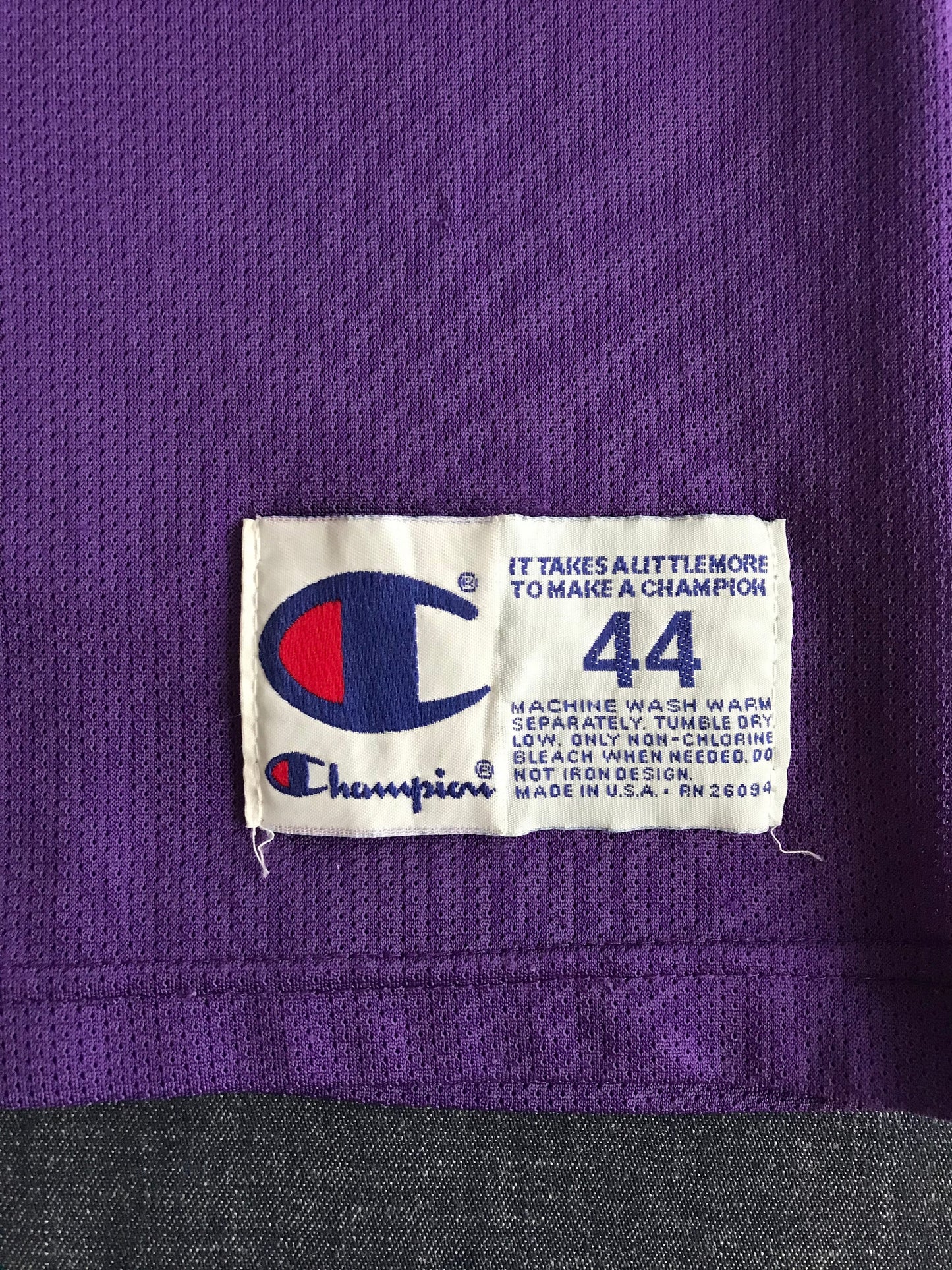 Rare Vintage Champion NBA Charlotte Hornets L. Johnson #2 Basketball Jersey with Iron-On NBA Logo