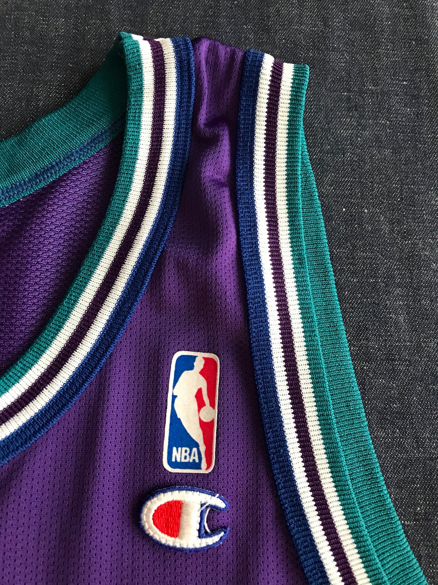 Rare Vintage Champion NBA Charlotte Hornets L. Johnson #2 Basketball Jersey with Iron-On NBA Logo