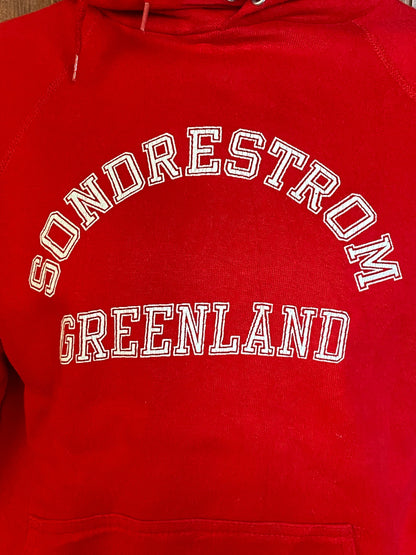 Size L. Made In USA Vintage 80s hooded sweatshirt Made by Artex. 50/50-AJ357 Studio
