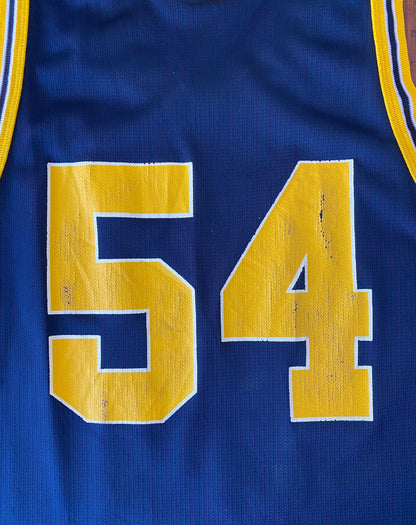 Size 40. 90s Vintage Michigan Wolverines NBA jersey #54 Made In USA by Champion-AJ357 Studio