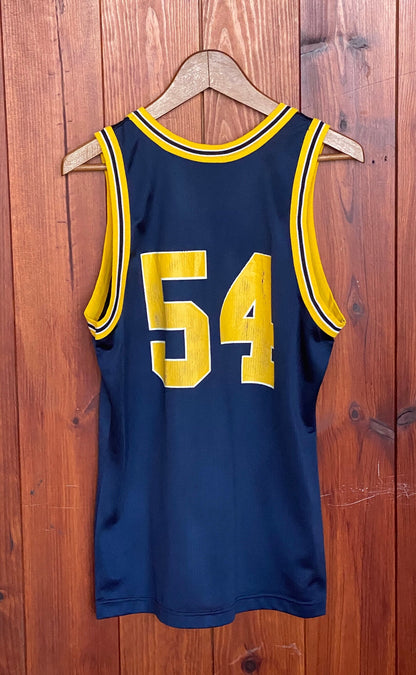 Size 40. 90s Vintage Michigan Wolverines NBA jersey #54 Made In USA by Champion-AJ357 Studio