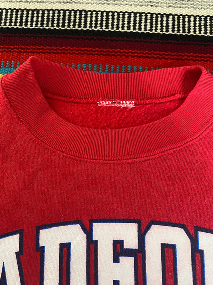 Large. 90s Vintage University sweatshirt-AJ357 Studio