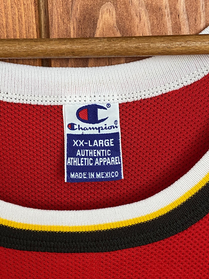Vintage 90s Hawks Terry #31 NBA Jersey - Size 52 | Made by Champion-AJ357 Studio